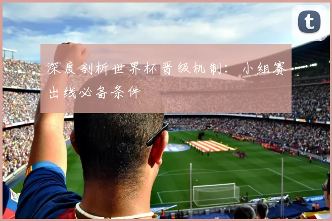 深度剖析世界杯晋级机制：小组赛出线必备条件