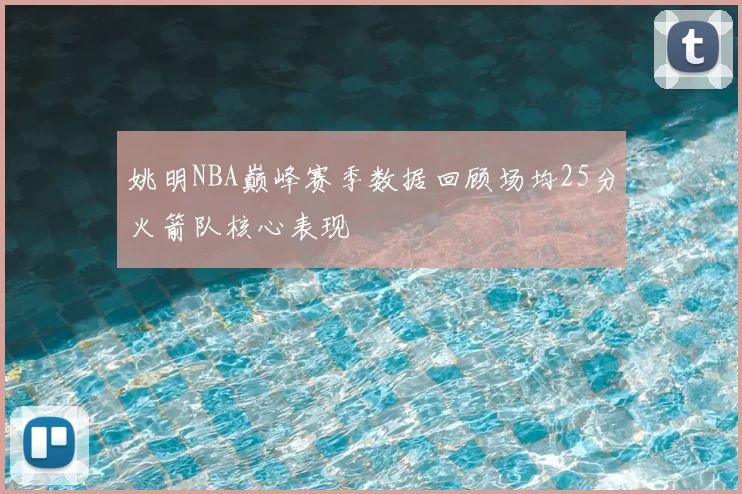 姚明NBA巅峰赛季数据回顾场均25分火箭队核心表现