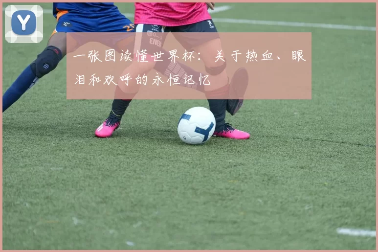 一张图读懂世界杯:关于热血、眼泪和欢呼的永恒记忆