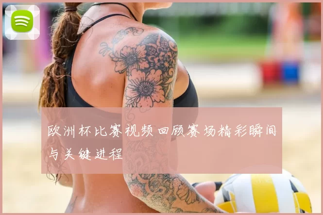 欧洲杯比赛视频回顾赛场精彩瞬间与关键进程