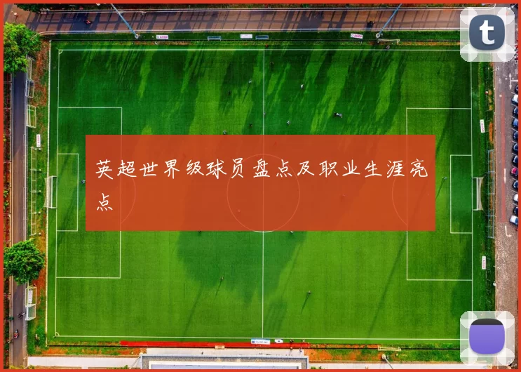 英超世界级球员盘点及职业生涯亮点