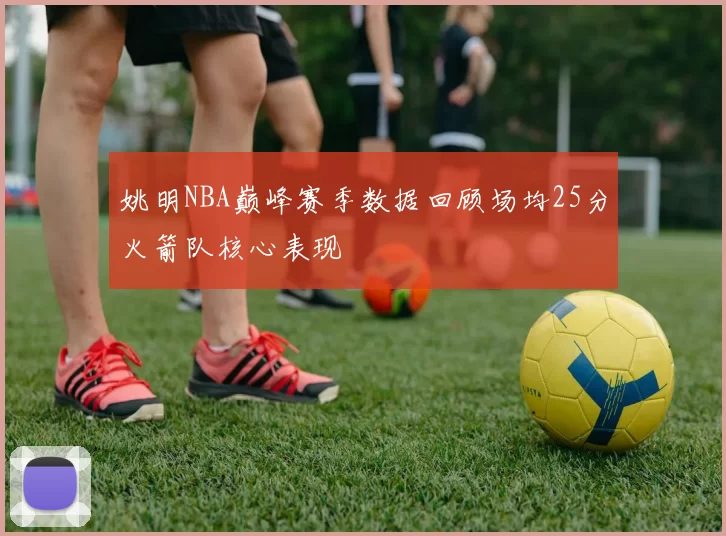 姚明NBA巅峰赛季数据回顾场均25分火箭队核心表现