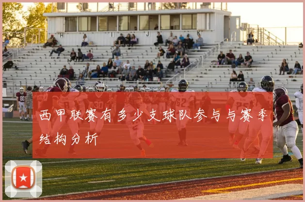 西甲联赛有多少支球队参与与赛季结构分析