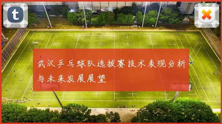 武汉乒乓球队选拔赛技术表现分析与未来发展展望