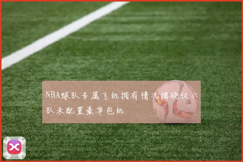 NBA球队专属飞机拥有情况揭晓仅六队未配置豪华包机