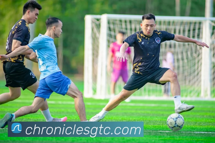 球盟会平台生态图